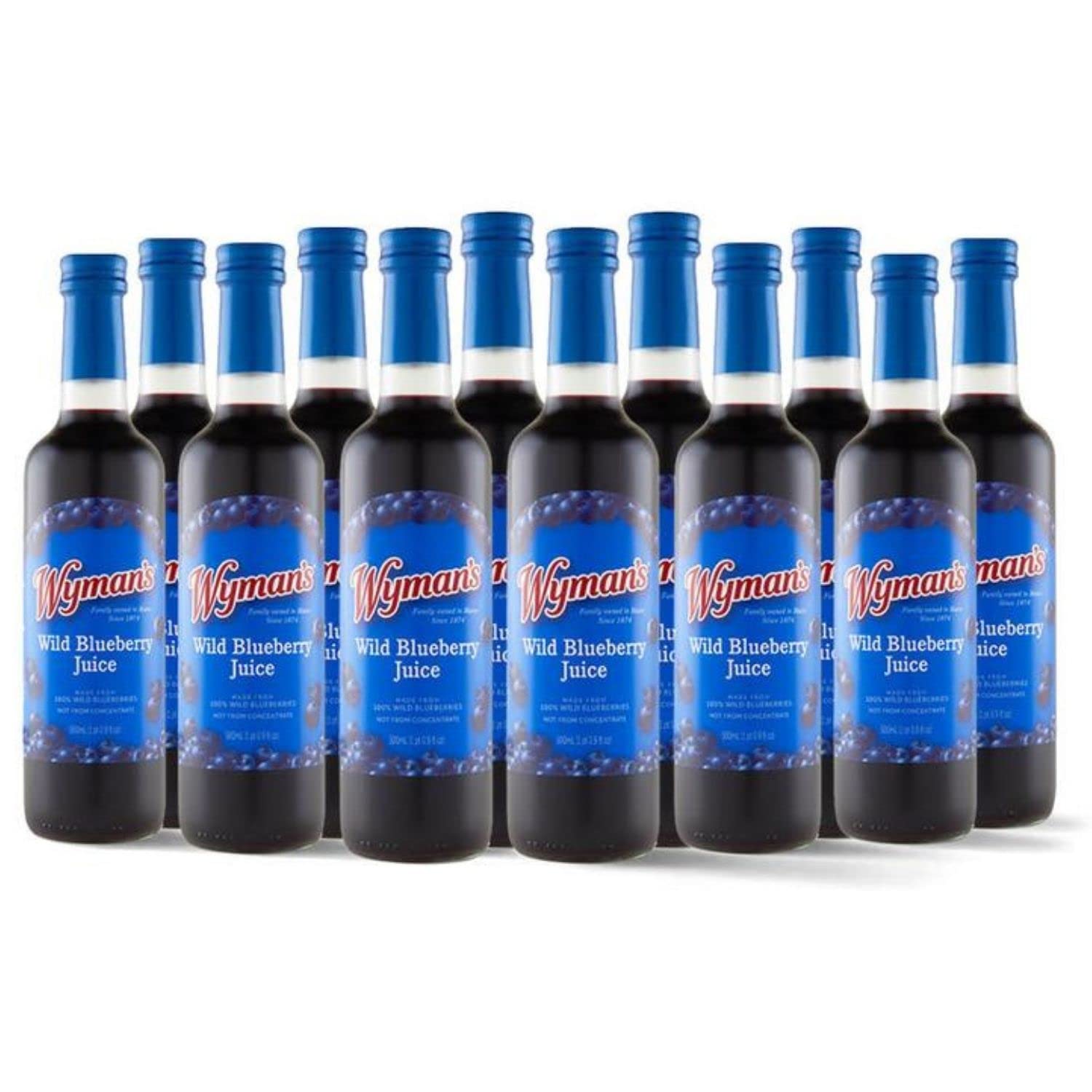 Wyman's Wild Blueberry Juice 12er-Packung